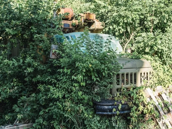 Ferro velho caminhão soviético abandonado em moitas densas de arbustos — Fotografia de Stock