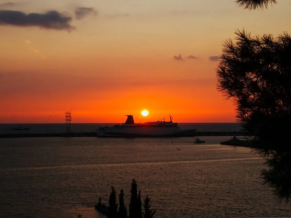 De zon gaat onder boven de zee met een schip en dennentakken op de voorgrond — Stockfoto