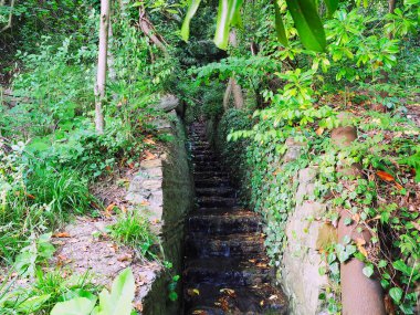Dökümlü parkın kaldırımları arasındaki basamaklardan aşağı akan dere.