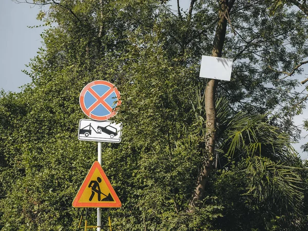 树干上挂着一个空标牌，旁边是绿树背景上的交通标志 — 图库照片