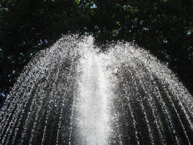 Çeşme, sık yeşil yapraklı ağaçlardan oluşan bir zemin üzerine taşar.