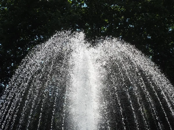Çeşme, sık yeşil yapraklı ağaçlardan oluşan bir zemin üzerine taşar.