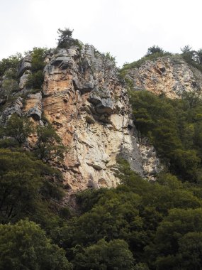Dik uçurumlar, arkasında bulutlu bir gökyüzü olan yeşil bir korulukla çevrili.
