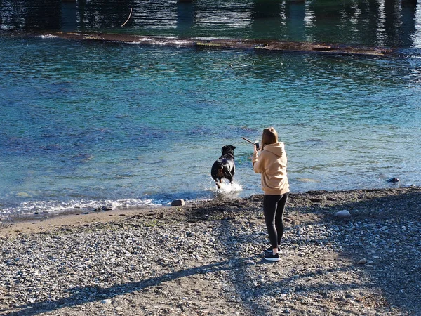 Uma menina brinca com um cachorro jogando uma vara para ela e tirando fotos no telefone na praia em um dia ensolarado fresco — Fotografia de Stock