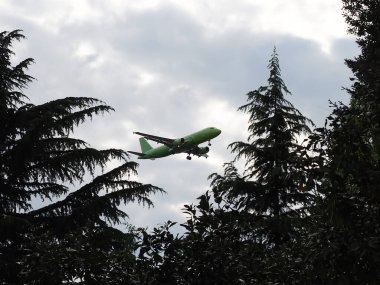 Green airliner flying low over trees against cloudy sky background