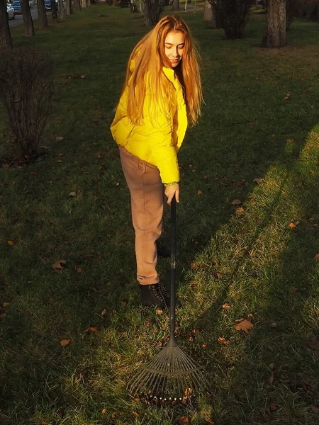 노란 재킷을 입은 소녀가 푸른 잔디에 빗방울이 달린 마른 잎을 제거하는 모습 — 스톡 사진