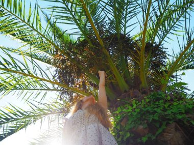 Kız güneşin altında uzanan bir palmiye ağacının altında duruyor ve elini uzatıyor. Fotoğraf aşağıdan yukarıya