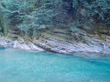 Şeffaf turkuaz sakin bir nehir, ağaçlı ve yosunlu kayaların yanında akar.