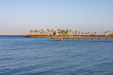 İskelesi, palmiye ağaçları ve berrak mavi denizi olan tropik bir sahil..