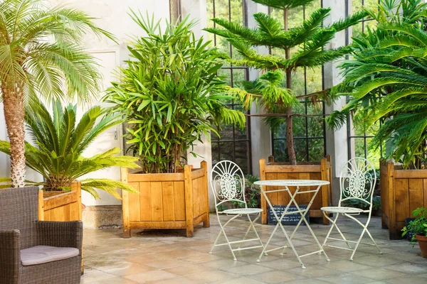 Metal garden furniture, stools and table standing in tropical plants orangery with palms in wooden flowerbeds. Relaxing time in biophilic interior style. Greenhouse cafe concept. Copy space — Stock Photo, Image