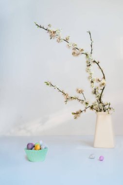 Bir vazoda çiçek açan ağaç dalı ve açık mavi arka planda bir kağıt kasede küçük pastel renkli Paskalya şekerleme yumurtaları. Yumuşak seçici odaklanma. Paskalya minimalizmin kutlu olsun. Dikey kart. Boşluğu kopyala.