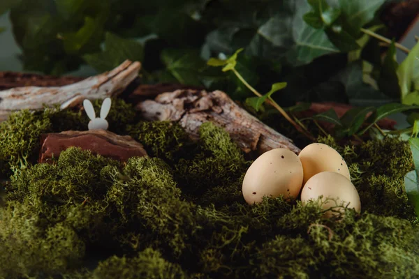 Kreative Osterkomposition aus Ostereiern und Hasen im bemoosten Waldhintergrund. Märchenhafte Ostern. Selektiver Fokus. Kopierraum. — Stockfoto