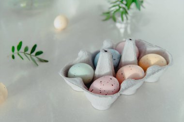 Easter holiday concept. Pastel colors painted eggs in cardboard box and with small fresh green leaves on white background. Soft natural light. Festive spring mood. Easter natural decor. Copy space.