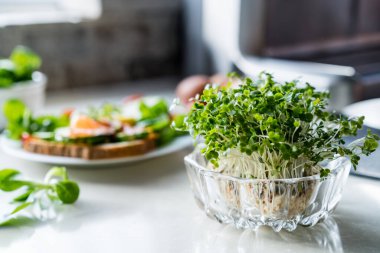 Beyaz mutfak masasında cam kasede mikroçim filizleri ve arka planda sağlıklı bir yemek. Sağlıklı beslenme ve yemek pişirme. Ev ekimi ve yiyecek yetiştirme. Sürdürülebilir yaşam tarzı. Seçici odak.