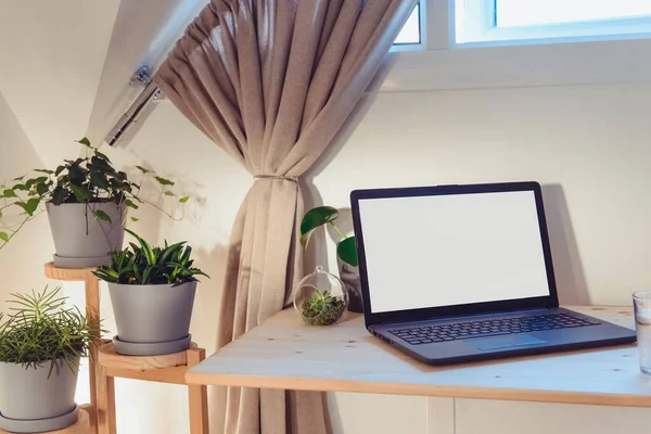 Modern workplace - wooden desk with laptop mockup white empty screen and wooden stand with green plants at work space in home office room interior in eco friendly neutral tones. Copy space