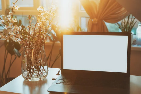 Um local de trabalho em casa com laptop de tela branca para maquetes, ramos floridos em um vaso na mesa com fundo interior do quarto sob a luz do pôr do sol. Freelance, trabalhando em casa, aprendizagem on-line, home office — Fotografia de Stock