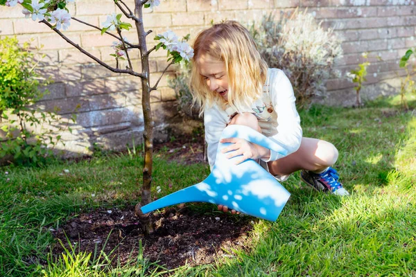 Niña regando un árbol floreciente con una maceta en el jardín. Un chico ayudando a sus padres a cuidar de las plantas. Cultivar frutas en el jardín. Niños Actividad al aire libre en casa. Enfoque selectivo. — Foto de Stock