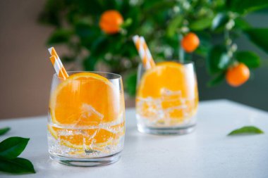 İki ferahlatıcı meyve kokteyli portakal, nane ve buz ile beyaz masa üzerinde narenciye ağacı arkaplanlı. Yaz barı içkileri. Seçici fiocus, boşluğu kopyala.