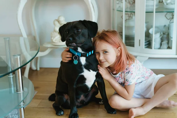 Retrato de una niña pequeña abrazando a una mascota negra grande mientras está sentada en el suelo en la sala de estar. Divertirse con animales domésticos. Concepto de animales de amor. Enfoque selectivo — Foto de Stock