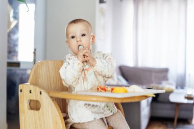 Cute baby learning to eat food with baby spoon by himself on high chair baby led weaning or blw. Infant self-feeding solid food, making mess, fine motor development. Kid enjoying healthy nutrition