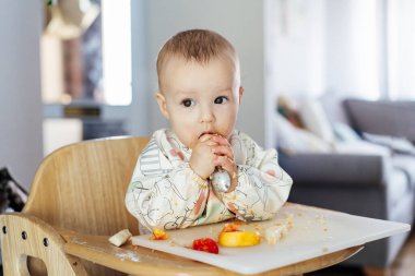 Cute baby learning to eat food with baby spoon by himself on high chair baby led weaning or blw. Infant self-feeding solid food, making mess, fine motor development. Kid enjoying healthy nutrition.