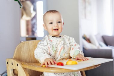Gülümseyen sevimli bebek kendini yüksek sandalyede yiyor bebek sütten kesilmesine ya da kızarmasına neden oluyor. Bebek kendini besleyen katı besinler, iyi motor geliştirme. Bebekler tek başına beslenir, öğrenir, yemek yer ve ortalığı dağıtır..