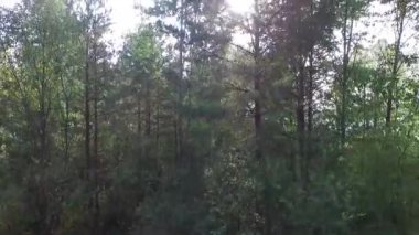 Göl ve orman üzerinde uçan. Hava anket