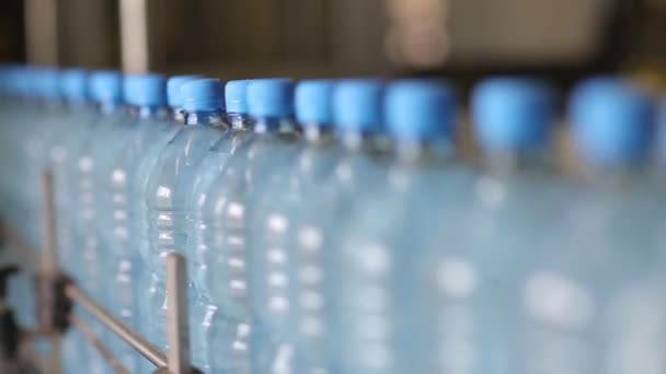Γραμμή παραγωγής, μεταλλικό νερό και ανθρακούχα ποτά — Αρχείο Βίντεο