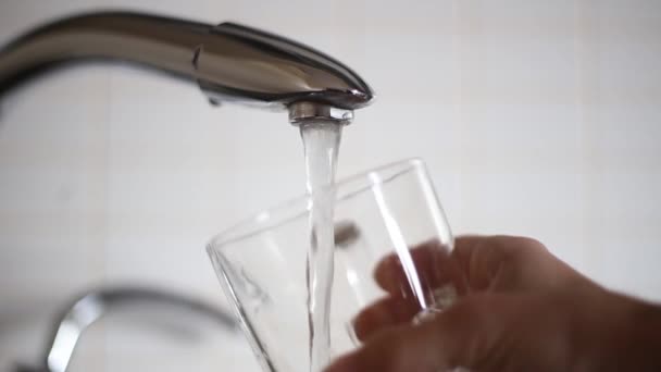 Hälla vatten i ett glas i köket — Stockvideo