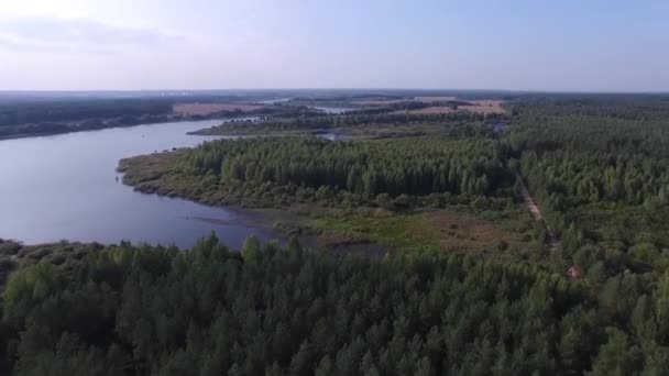 Flygande över sjön och skogen. Flygfotografering — Stockvideo