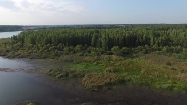 Flug über den See und Wald. Befliegung — Stockvideo