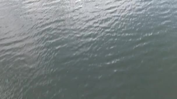 飞越的湖泊和森林。航测 — 图库视频影像