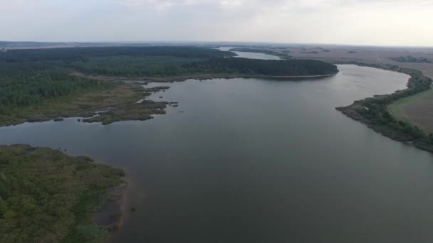 Vliegen over het meer en het bos. Luchtfoto enquête — Stockvideo