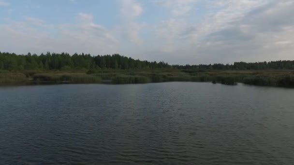 Voando sobre o lago e floresta. Levantamento aéreo — Vídeo de Stock