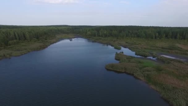 Volando sobre el lago y el bosque. Encuesta aérea — Vídeos de Stock