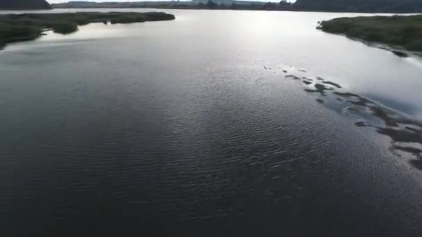 Voando sobre o lago e floresta. Levantamento aéreo — Vídeo de Stock