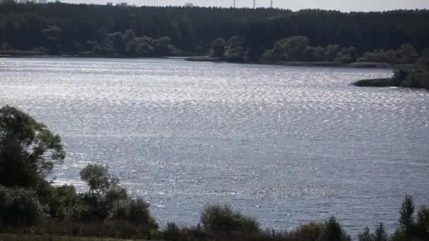 La superficie del agua del lago en el verano. Ondas en el agua — Vídeo de stock