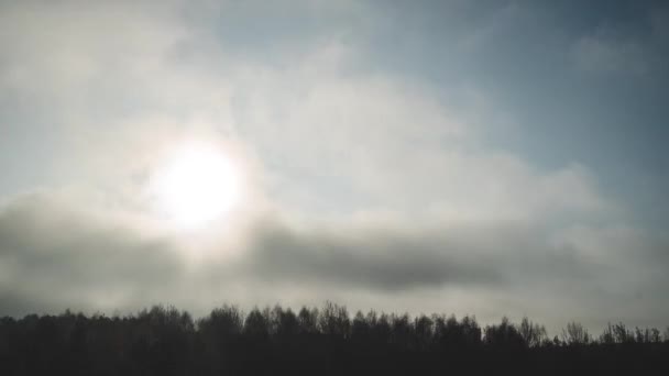 Köy veya kasaba hava fotoğrafı. Yüksek evler yukarıda yeşil kırsal kesimde ayarla. — Stok video