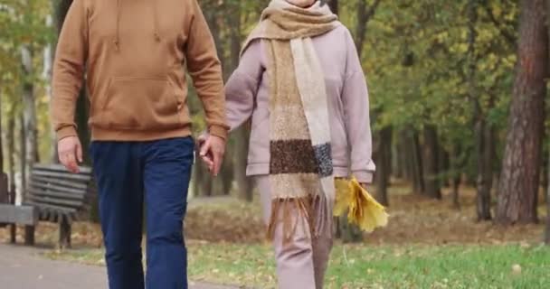 Felnőtt pár egy séta egy erdőben Park, őszi nap, ősz hajú férfi és egy nő sétál a városi parkban, őszi hangulat, séta kéz a kézben. — Stock videók