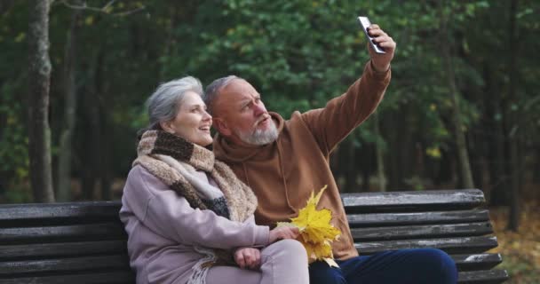 Ein erwachsenes Paar sitzt auf einer Bank im Waldpark und macht ein Selfie-Video auf dem Smartphone, grauhaarige Männer und Frauen kommunizieren per Telefonkonferenz, Herbststimmung. — Stockvideo