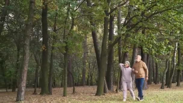 Pareja mayor en un paseo en un parque forestal, día de otoño, hombre y mujer de pelo gris caminando en un parque de la ciudad, momento romántico, estado de ánimo de otoño. — Vídeos de Stock