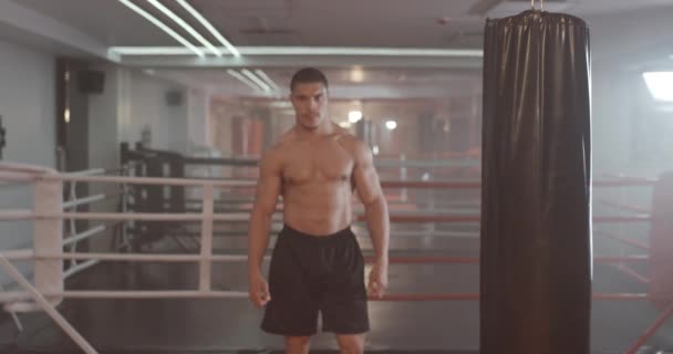 Boks, atletyczny wojownik trenuje na siłowni bokserskiej, muskularny mężczyzna przyjmuje postawę bojową i patrzy w kamerę. — Wideo stockowe