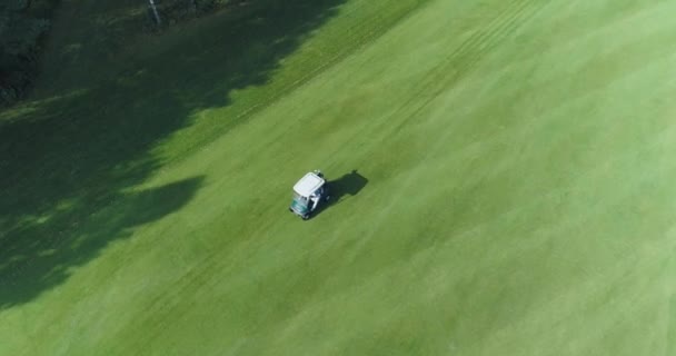 Verão dia ensolarado, vista aérea do campo de golfe na área florestal, Golf Club, passeios de carro de golfe elétrico no gramado, vista do campo de gramado verde perto da floresta. — Vídeo de Stock