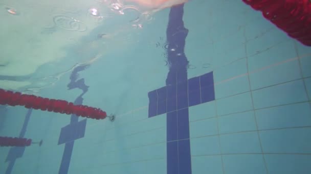 Joven nadadora profesional nadando en la piscina, mujer nadando bajo el agua, chica voltea voltereta bajo el agua. — Vídeos de Stock