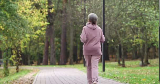 Wellness, erdei parkban rohangáló felnőtt nő, őszi aerobic edzés, visszapillantás. — Stock videók