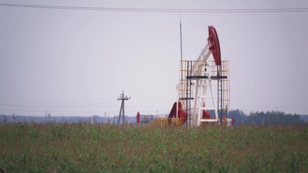 Видобуток ресурсів і видобуток нафти, нафтова установка в полі викачує нафту, видобуток палива, петлеве відео . — стокове відео