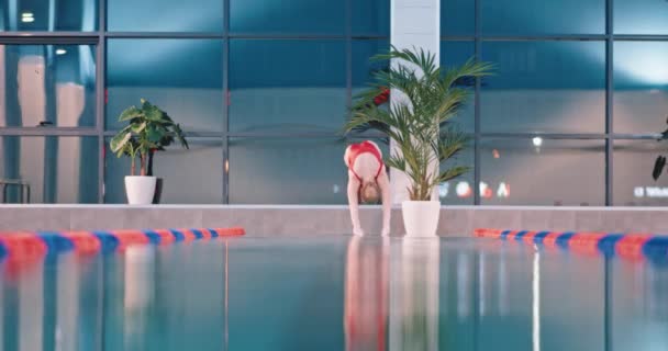 プールで水と水泳に飛び込むプロの女性スイマー. — ストック動画