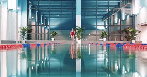Nadadora profesional saltando al agua y nadando en la piscina, joven entrenando en el agua, 4k cámara lenta. — Vídeos de Stock