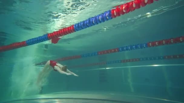 Professionell kvinnlig simmare hoppar i vattnet och simmar under vattnet, ung kvinna tränar i vattnet. — Stockvideo