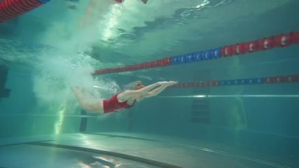 Professionell kvinnlig simmare hoppar i vattnet och simmar under vattnet, ung kvinna i röd baddräkt tränar i vattnet. — Stockvideo
